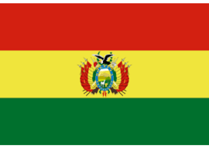 Bandera 6