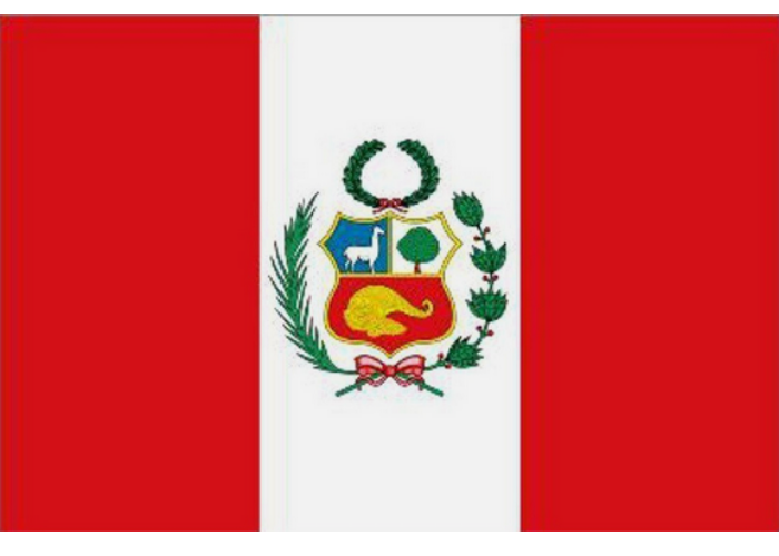 Bandera 7