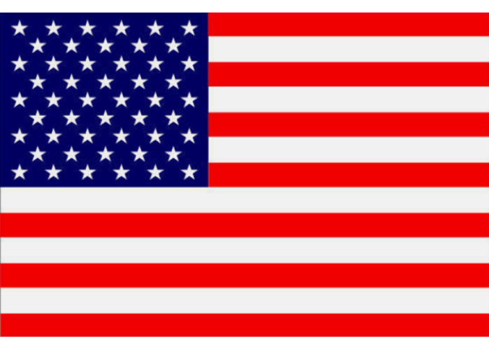 Bandera 11