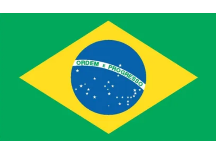Bandera 5